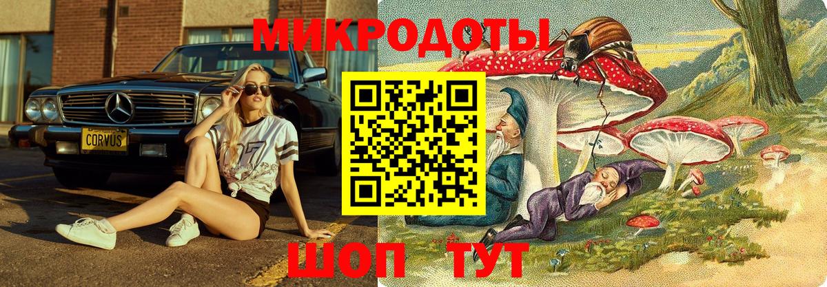 Прокопьевск  Псилоцибиновые грибы прущие грибы  Вход с VPN 
