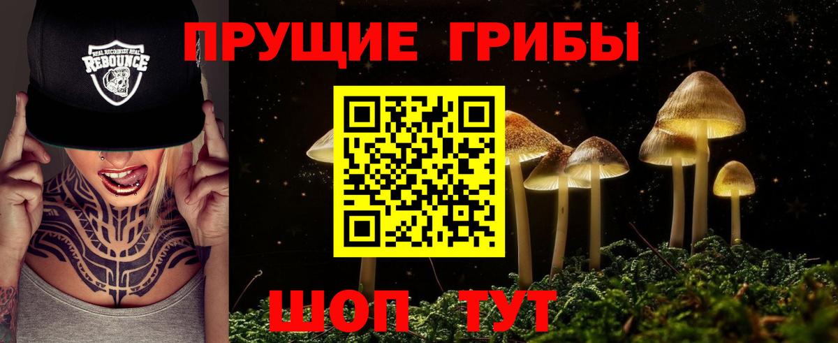 Галлюциногенные грибы мицелий Прокопьевск